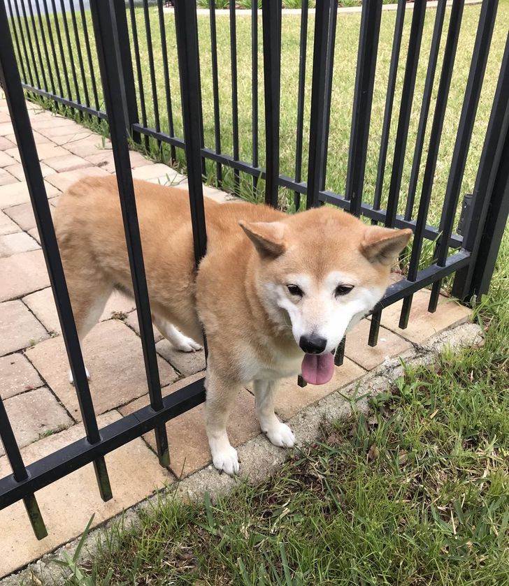 ac8aa15b73a0c0a452e1f284fa