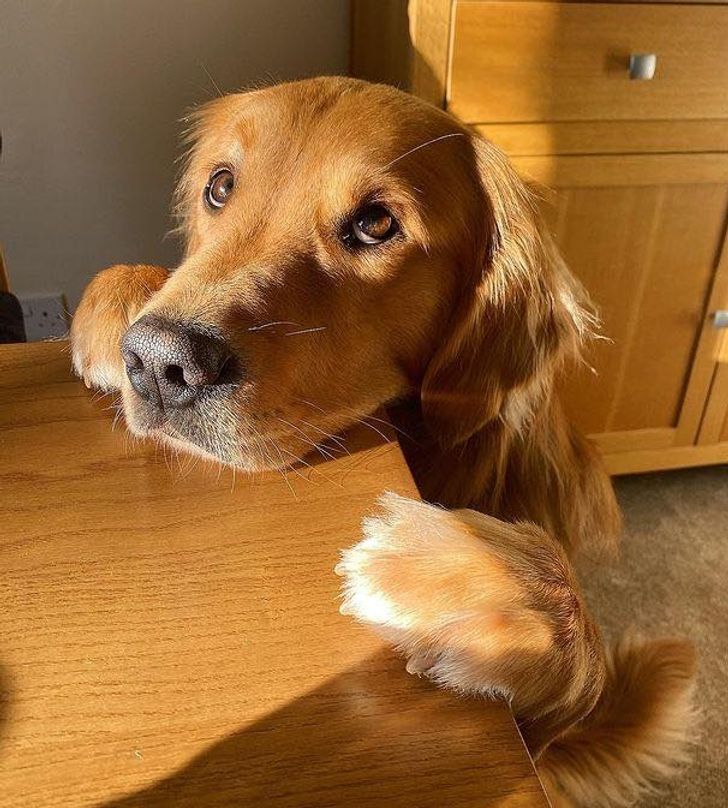 ac995655918fba45e75d21a23c