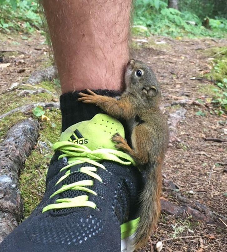 ac9bc15ec78378558bef3f515c