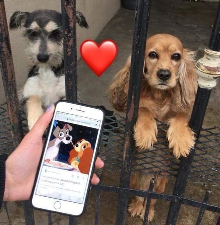 ac9c5d5ac7a0d2b37b0bf48880