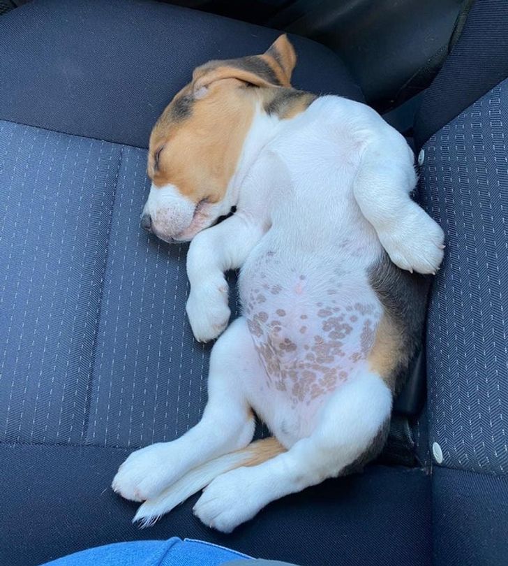 ac9e8159af9d6c25358ef6c2a6