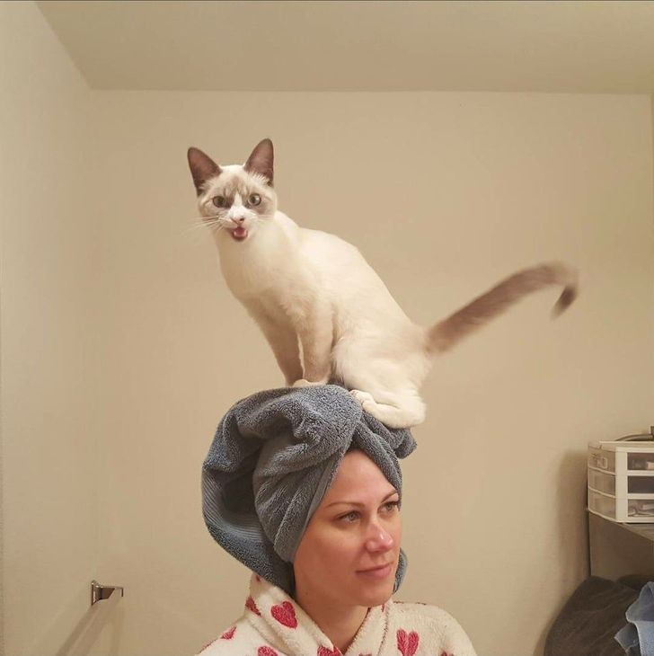 aca2ee5f6b88524d80fd96e07d