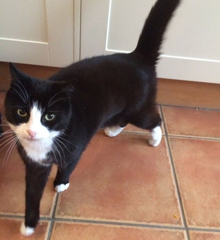 acaa6d51cab6302f9490f30175 acaa6d51cab6302f9490f30175