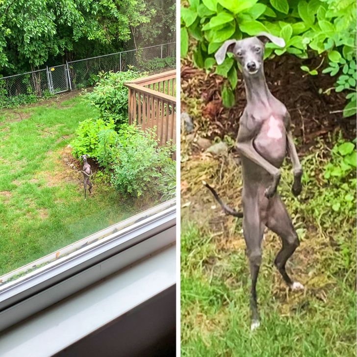 acb2c0570b82a2c52ae140d75e