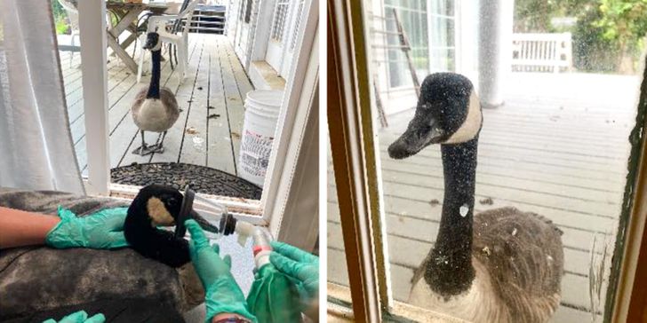 acb4c058cf9337367fa8b7cba5