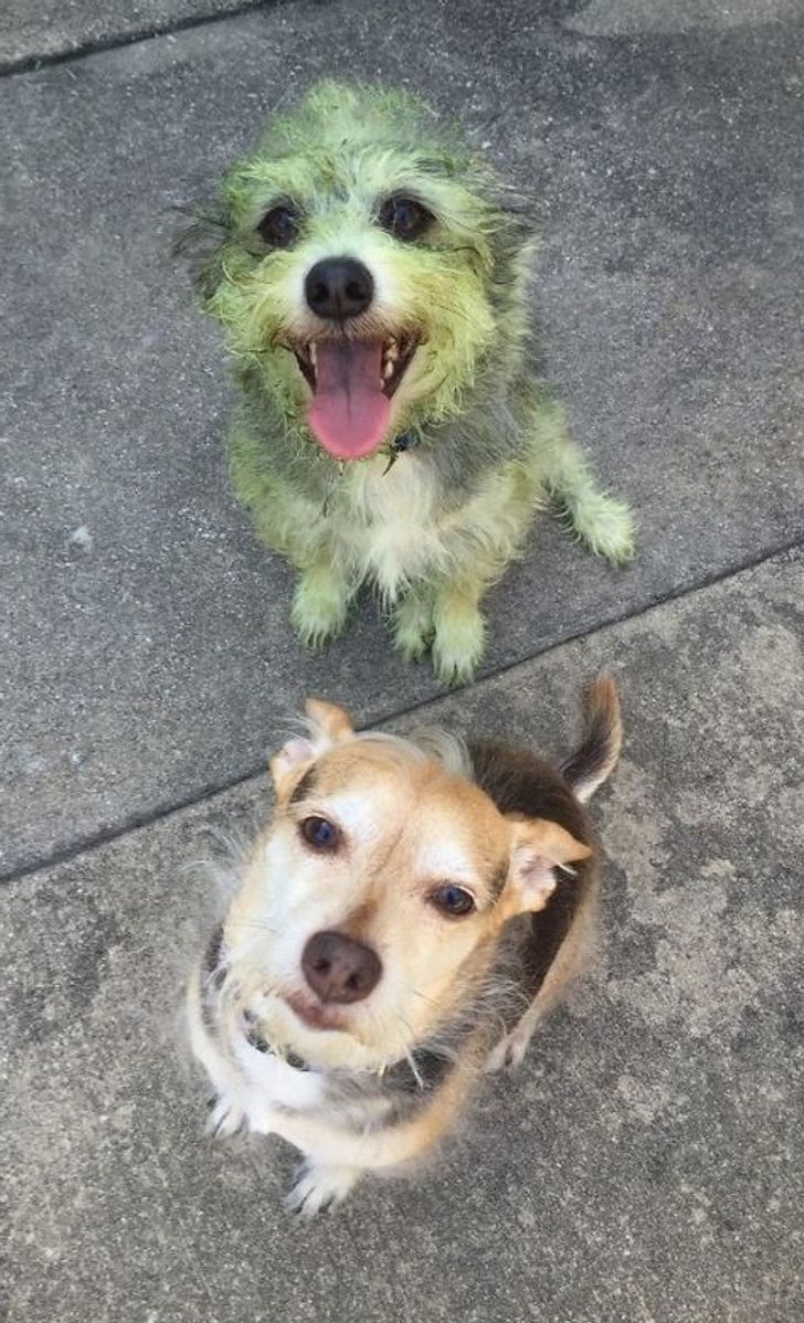 acb75b59f582d4894ecc74c1b5