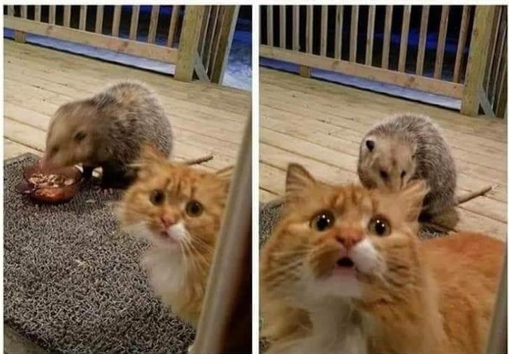 acbb125ae49b54d6041f184c4f