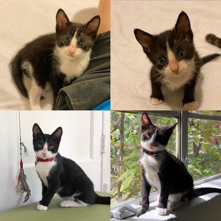 acc0d152778e8929007cd48f5e