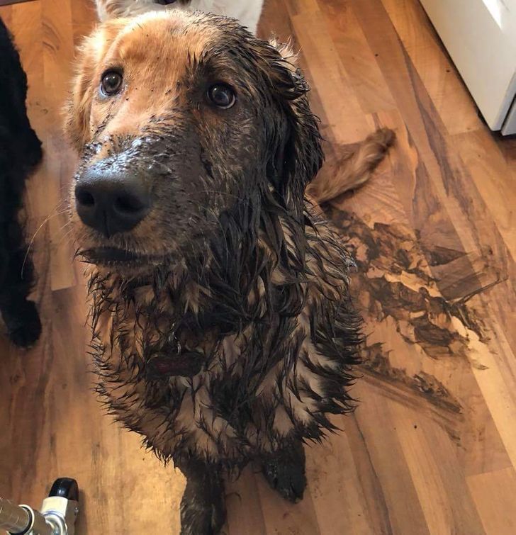 acc0fd56a9898c4c3a6990cbe5