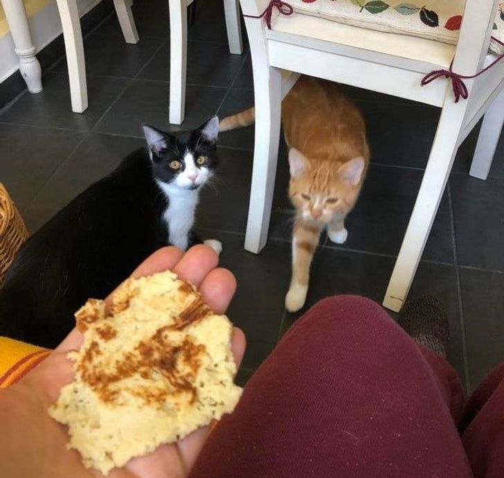 accd1b53fabf54fba9b423fa64