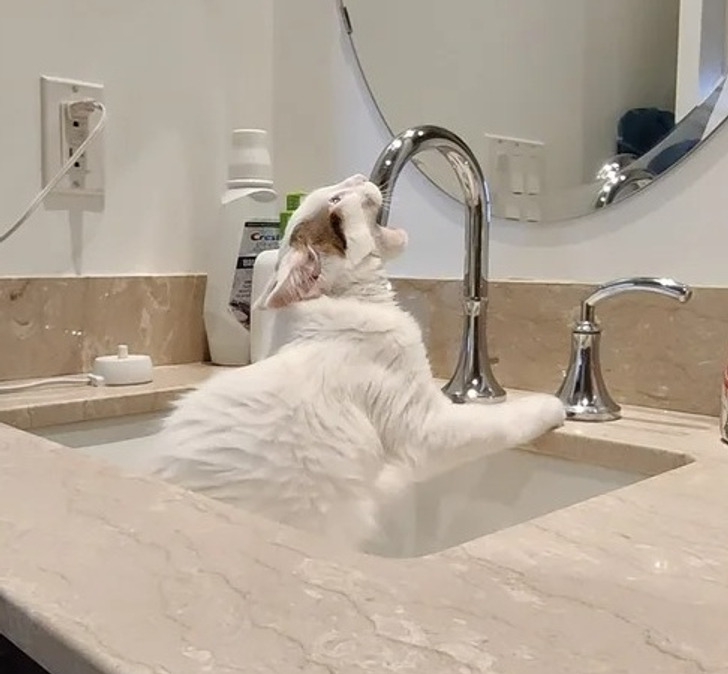 accf9054448e3b29ae9655d219