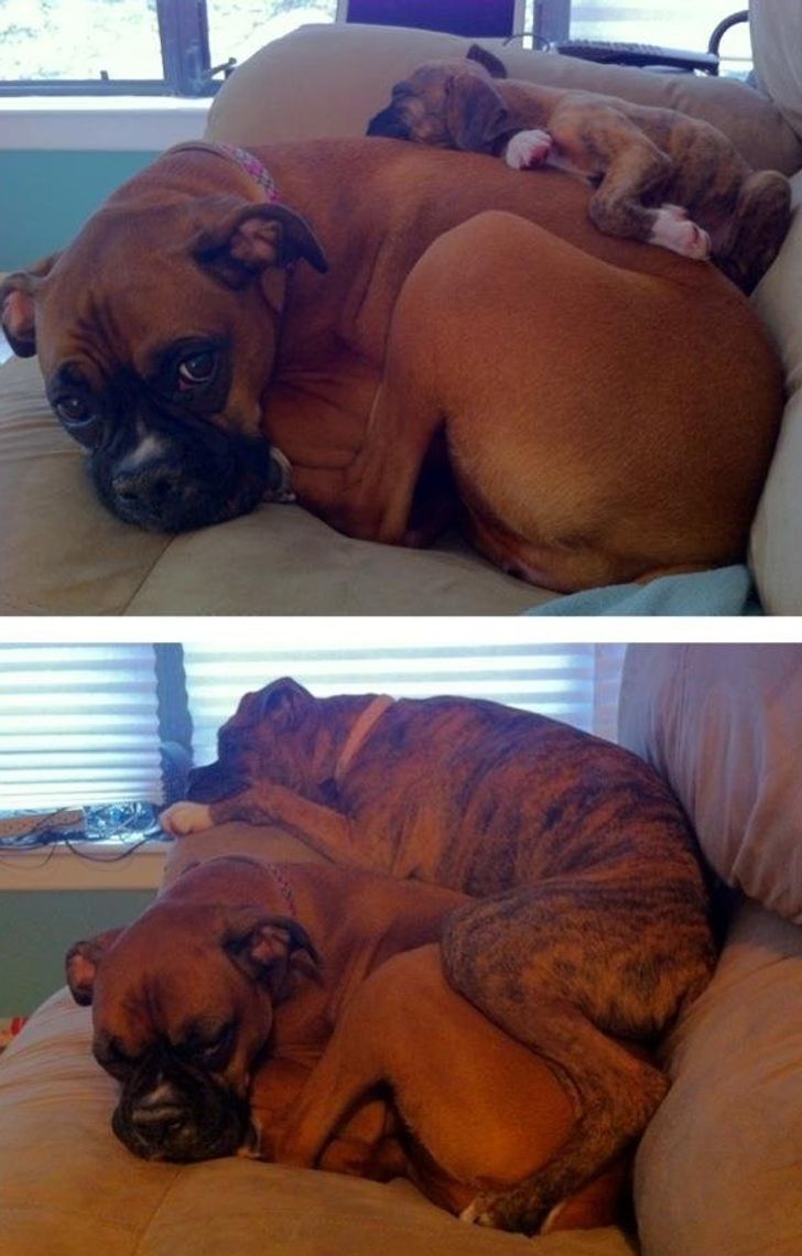 acd09a53b3afa4758d5eba6531