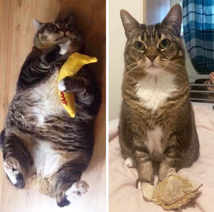 acd16950558600c1c6d30dca31