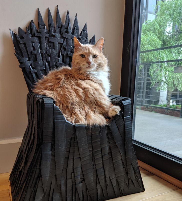 ace5bf5bae9fd3dc2d59200d6b