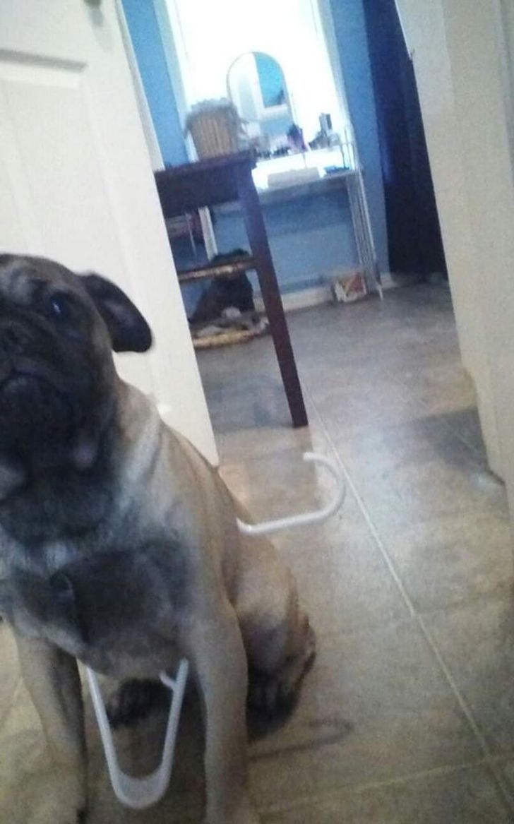 acee14585bab6b1d7806e59661