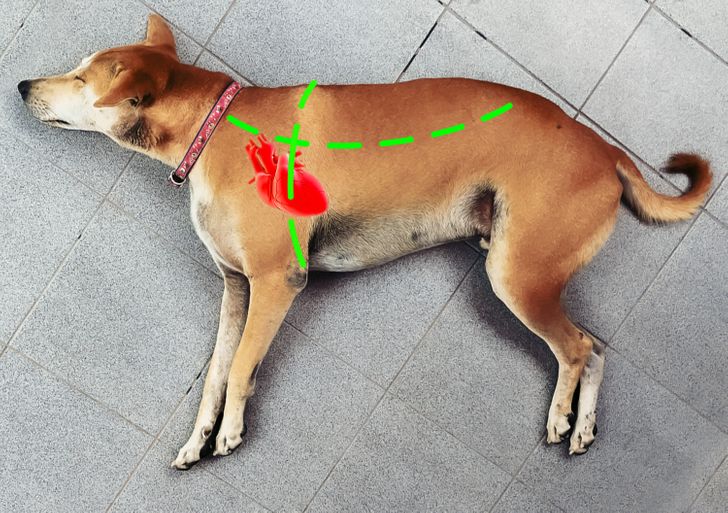 acef8d510bb175fd3e28bc45ba