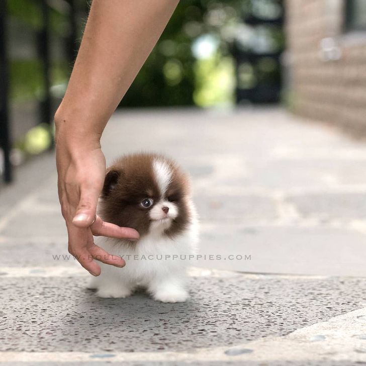 acf2895a389dc68281ebcba51b