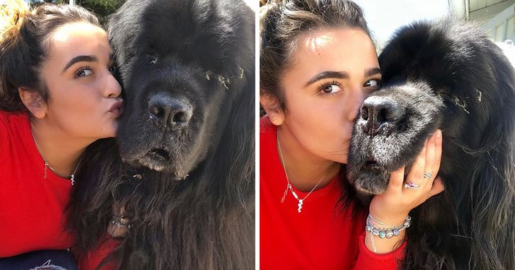 acf4665e54ba0ed81bc2bab946