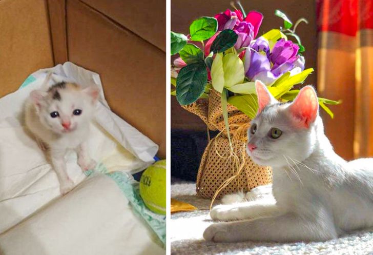 ad05ba5e689c642e34aa379847