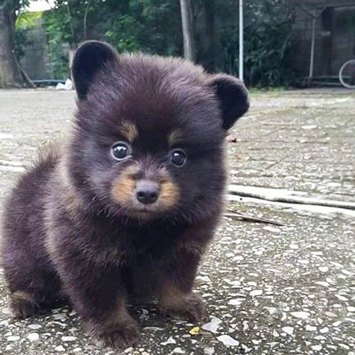 ad05bb5acdb1a7867c071a964a