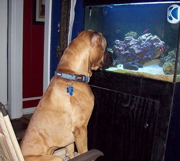 ad07bf50eda2f8b46a58717d31