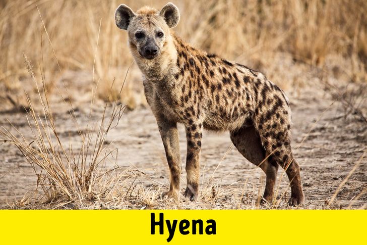 ad0aed50d9a0678ab919121e7b