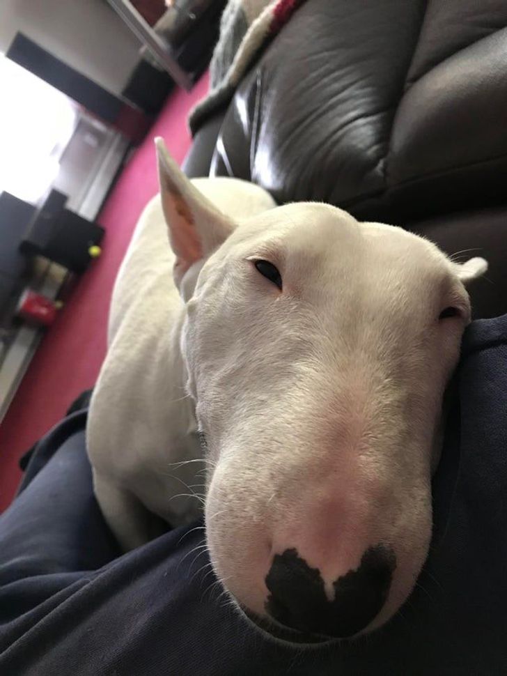 ad1a96520896407d9ff0a4ab1f