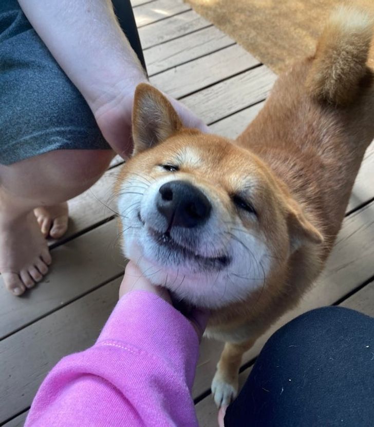 ad1b2d52e4b04bc380c3735aca