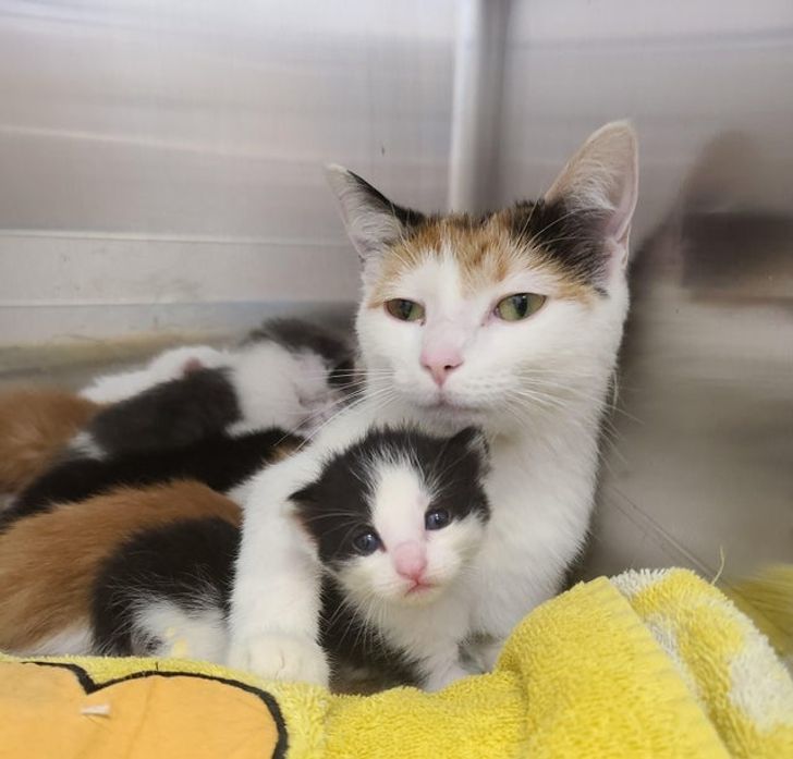 ad20165863b391dc5b7ece1719