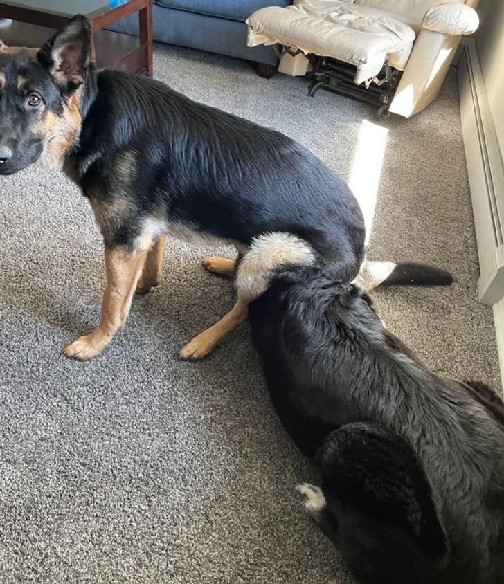 ad2a435b84bc7bd7ebe5b2def7 ad2a435b84bc7bd7ebe5b2def7