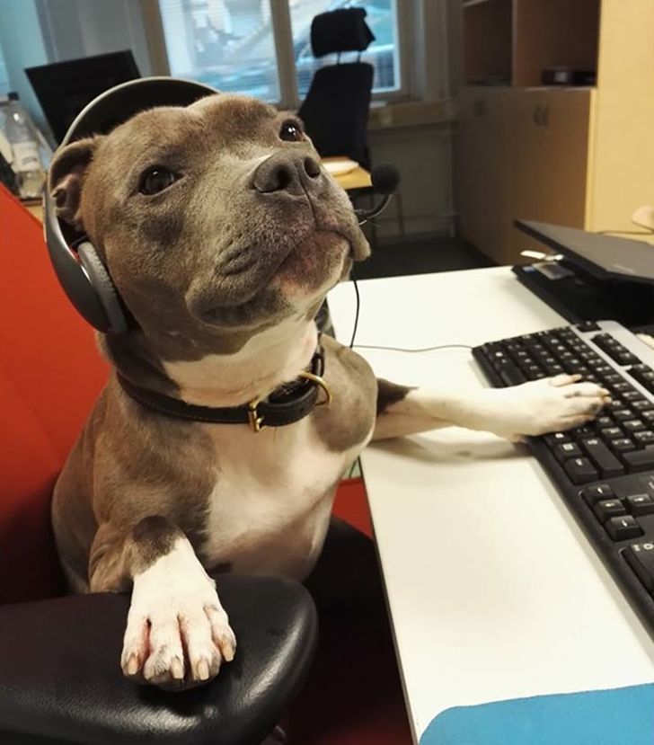 ad2d5b526090c5095ef1eab5f6