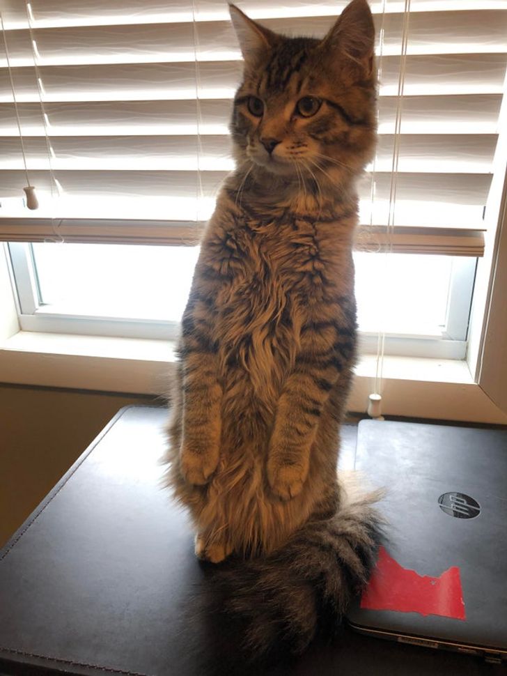 ad358058d1a1727229f98a7784