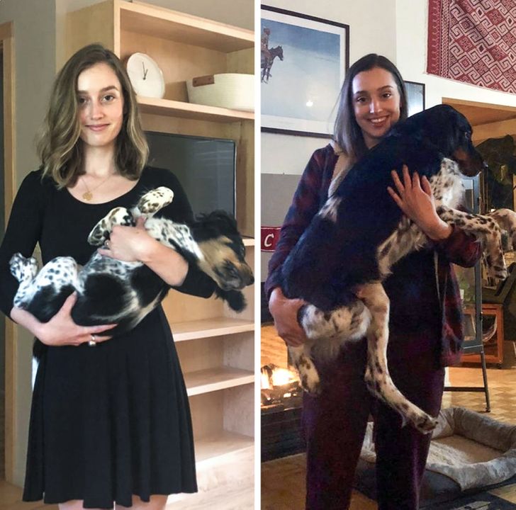 ad38c452a68ebffb73d93c5111