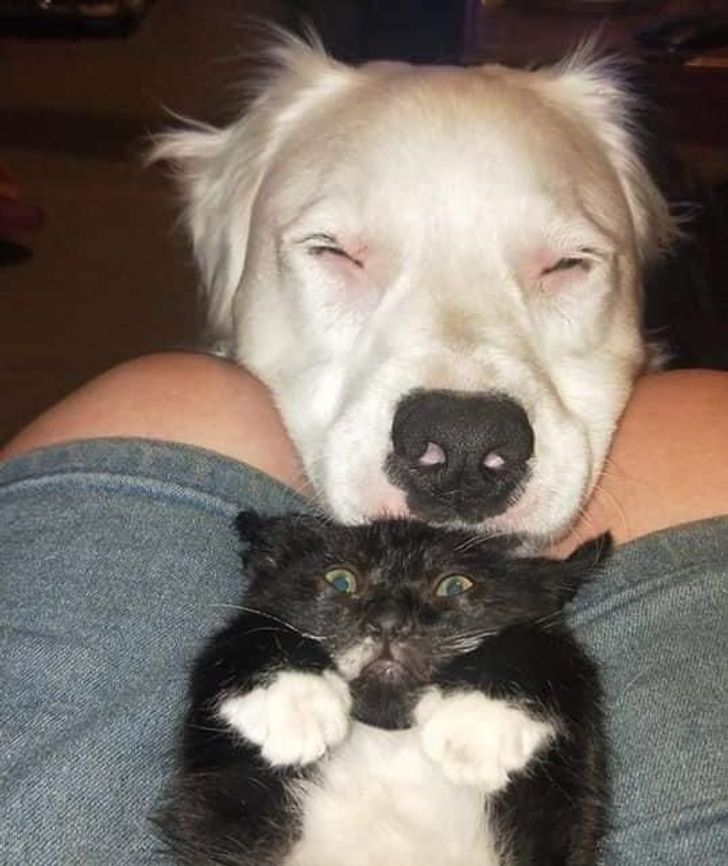 ad3d355bb7ab003e26069a3d57