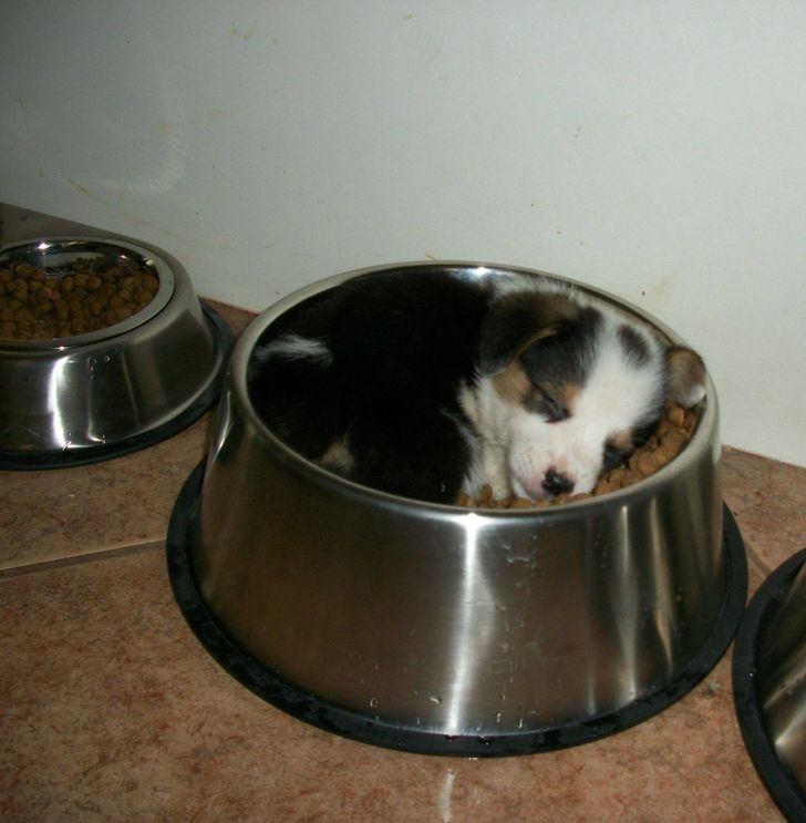 ad41b65195aa8c65589ecaf7f3