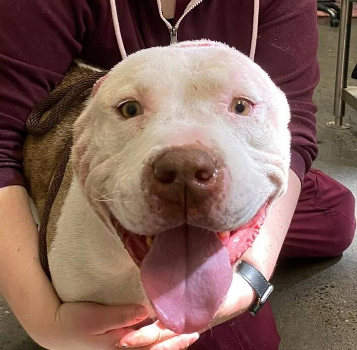 ad472759eba65b27b69292f0d1