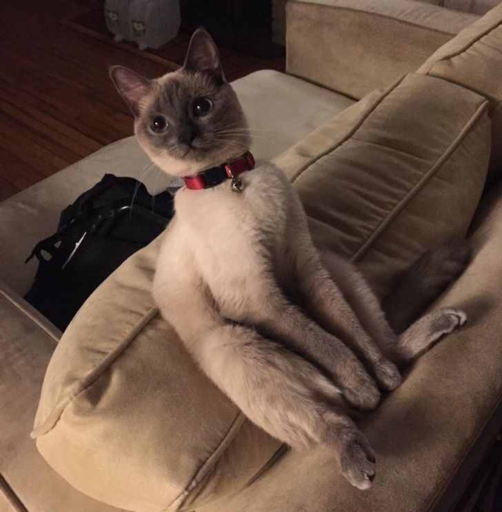 ad4c54597eb452ffbd14679bdf