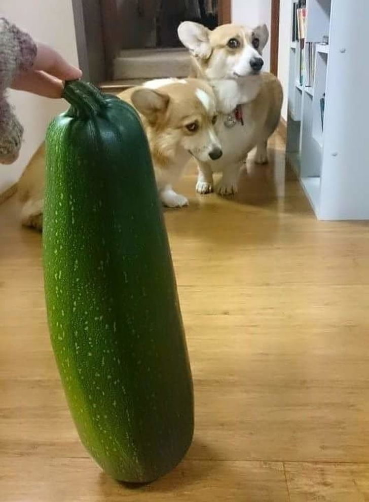 ad4f2e5d74857ae0cf94714928