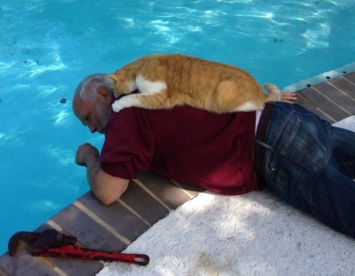 ad53cd5de2a395367d7d5df033