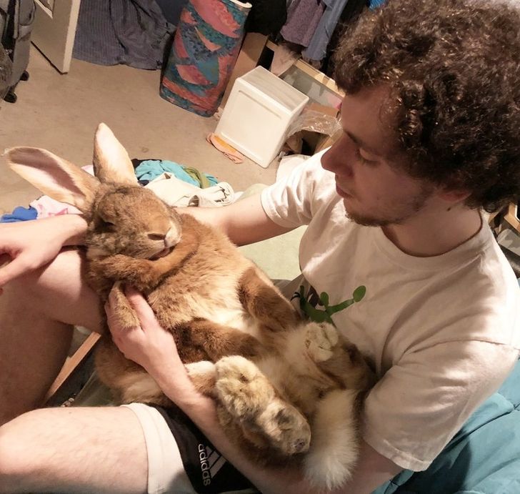 ad55695f03b9b25972e2d627d6