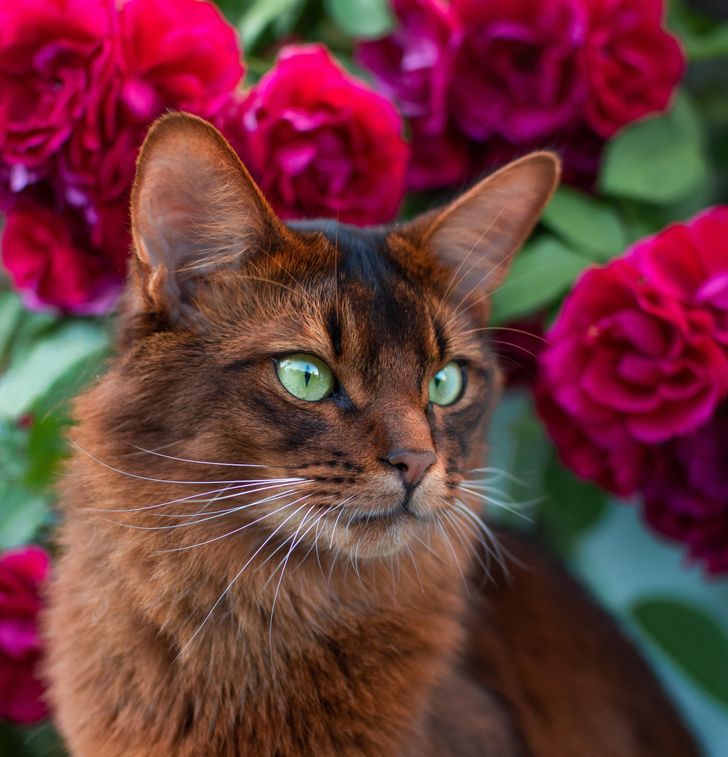 ad5fcc56dba7b70c7725638c99