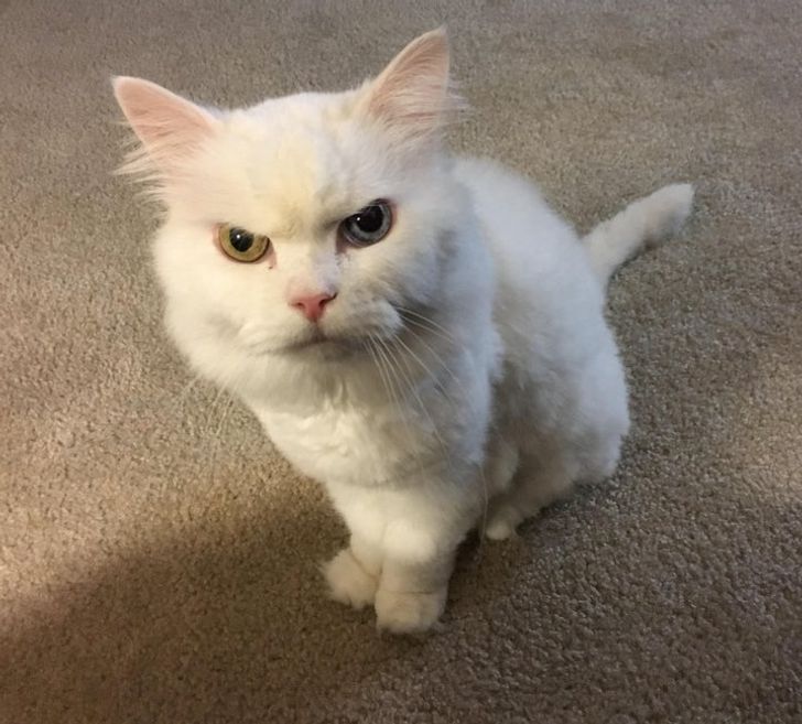 ad6257551e94ead78cbbfb4f2c