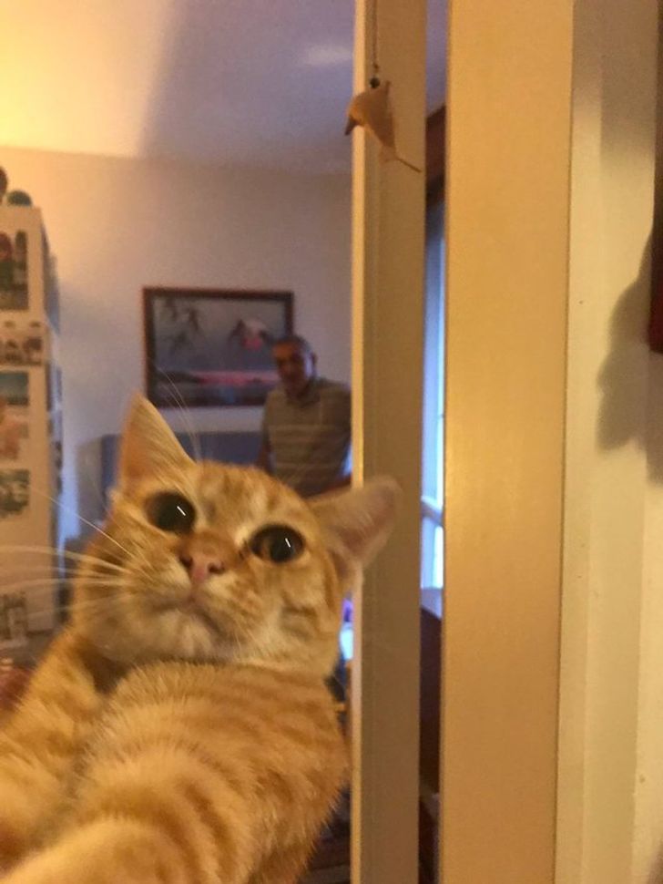 ad63035f639e6d866c10c20759