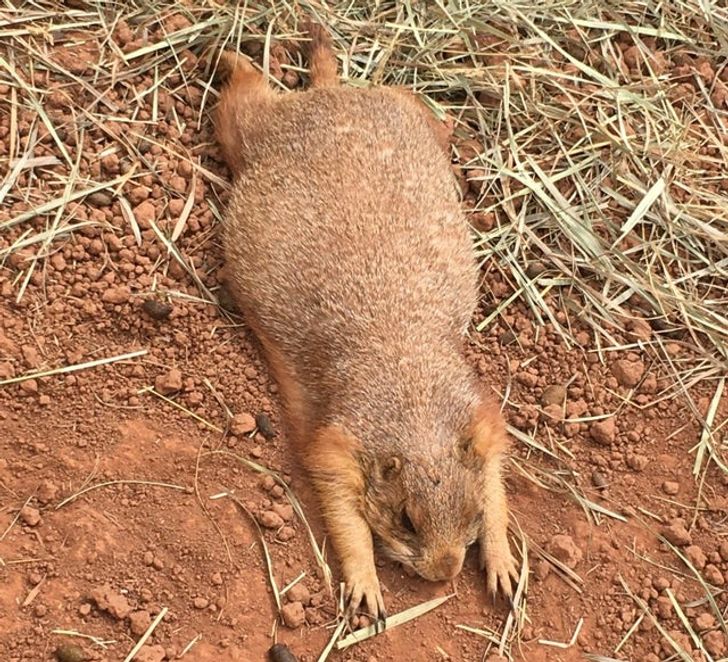 ad638b532b8a3344ae2f01cb14