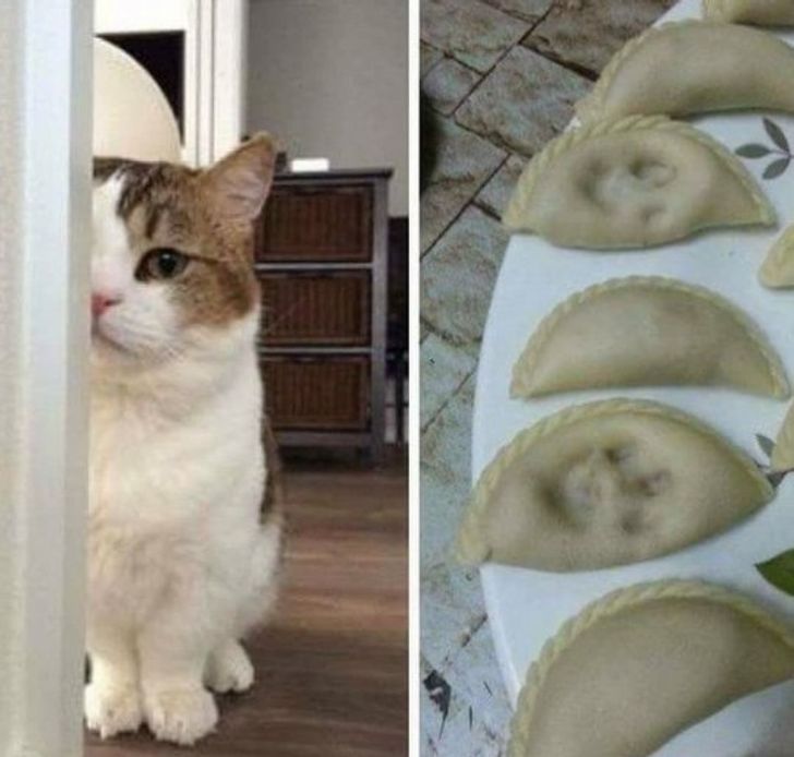 ad6a6c5695b5baa1194caf0d23