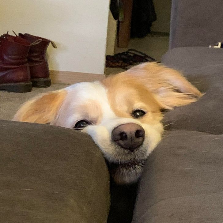 ad6bcb584896caedfc01577d48