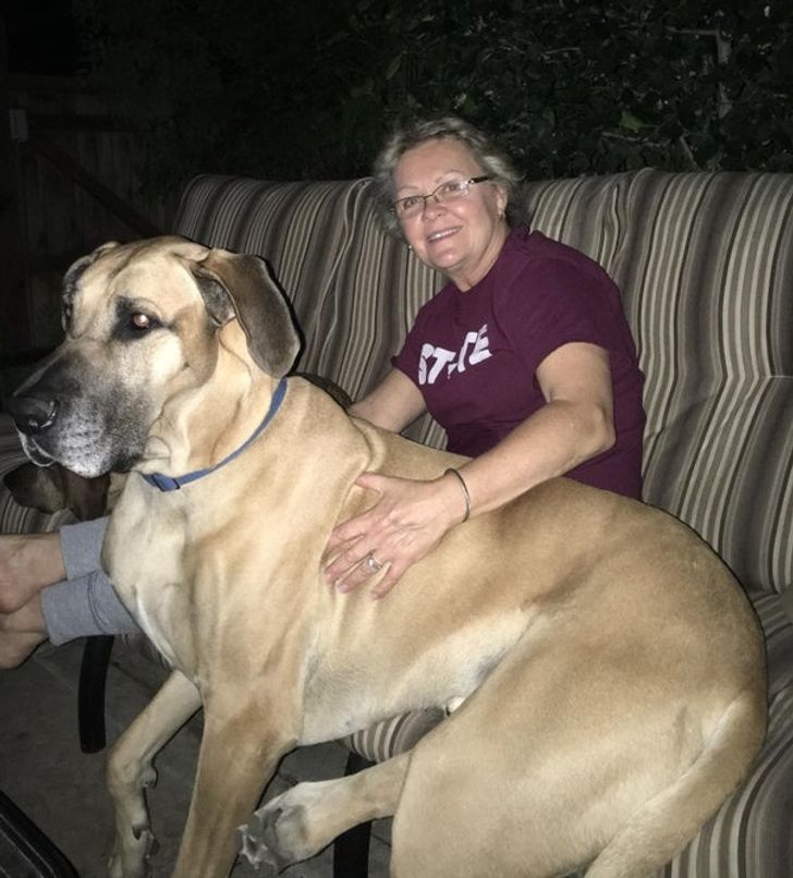 ad6c5d50d9ae5dd2ffa45fb2fb