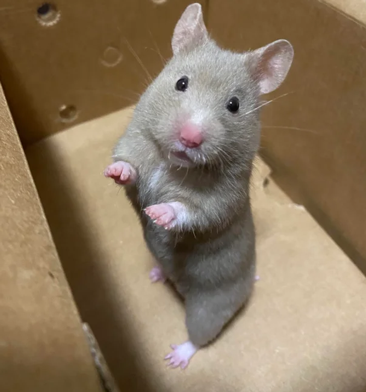 ad6dce5798ac13f235e32aa388