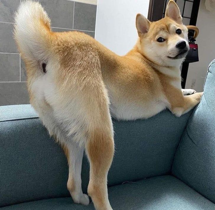 ad719e5475990f683317066519