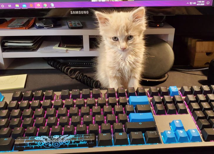 ad721057a59ef57152d3663e5b